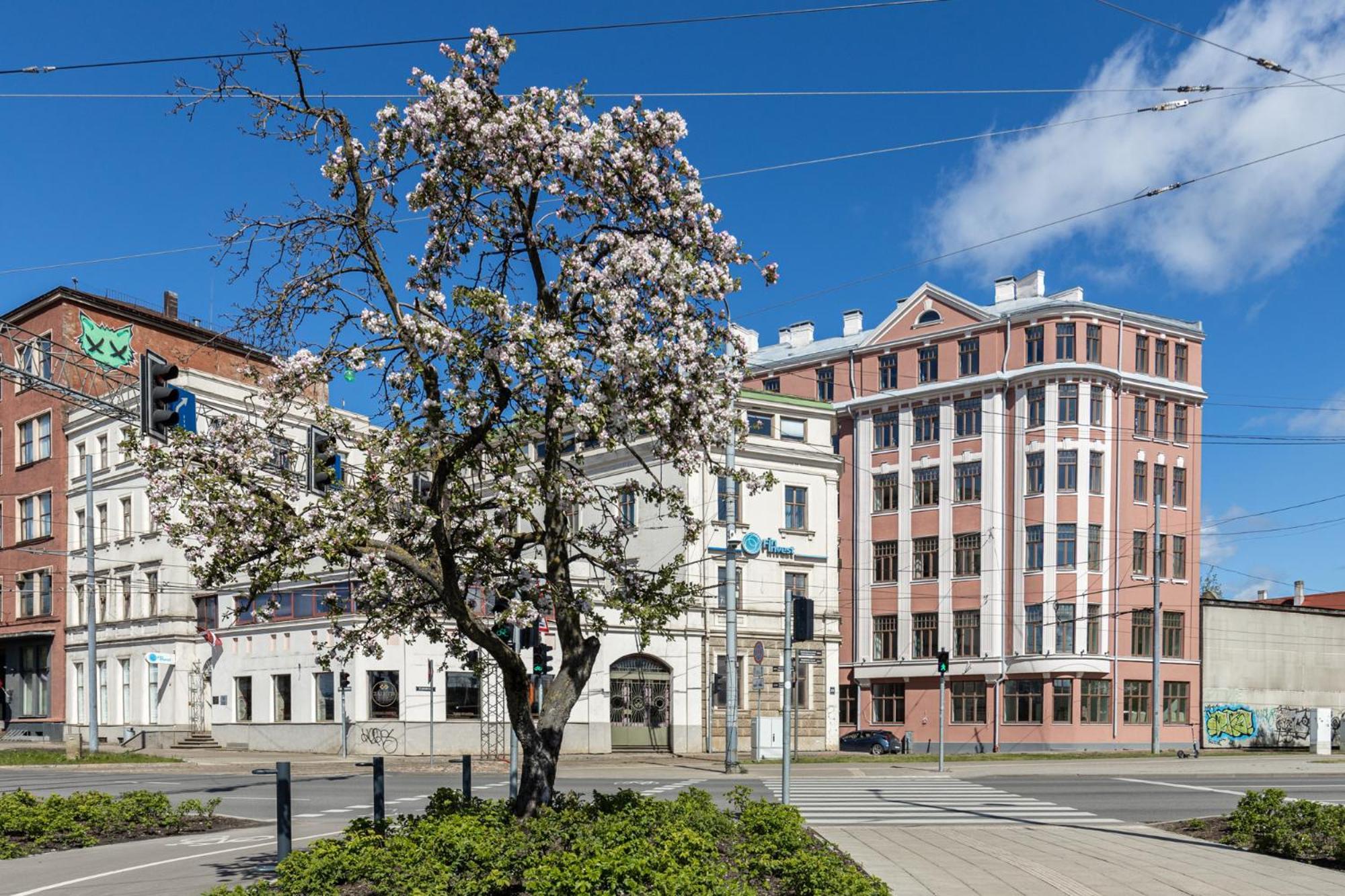 Lejlighed Hideaway In The Heart Of Old Town Streets Riga